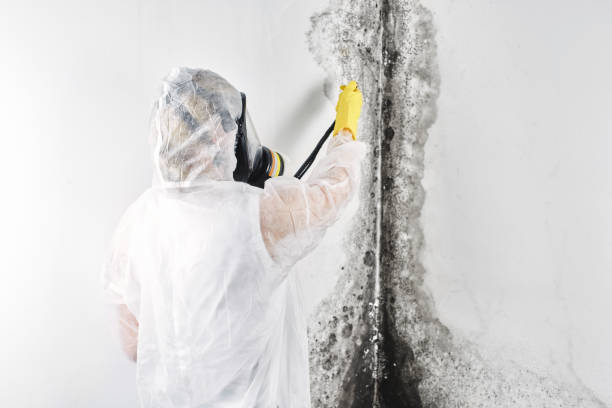 Water damage restoration process in Edwardsville, IL